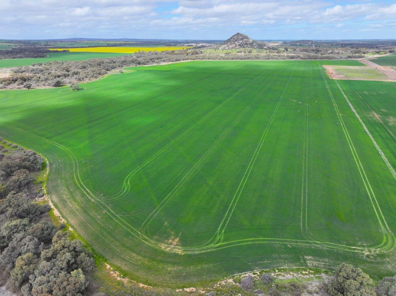 Additional image 3 of - Oneil Street, Pyramid Hill VIC 3575