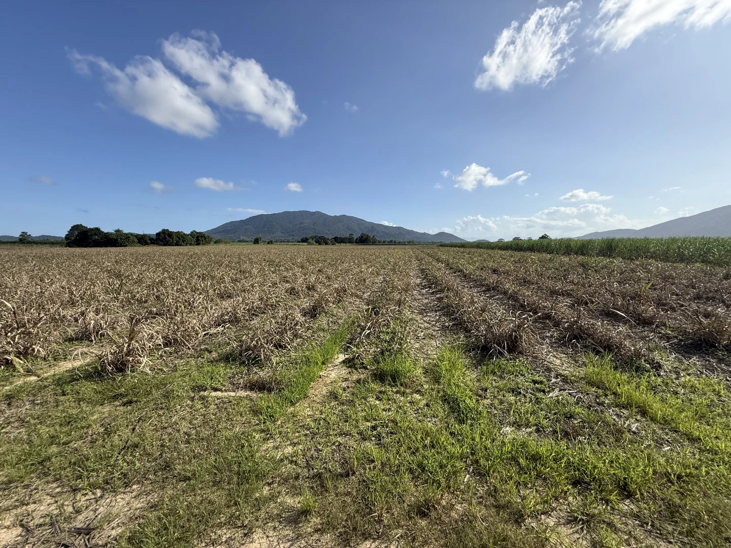 Additional image 17 of Midgenoo QLD 4854