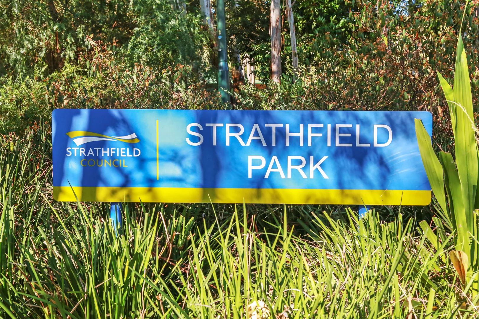 Additional image 30 of 10 Mintaro Avenue, Strathfield NSW 2135