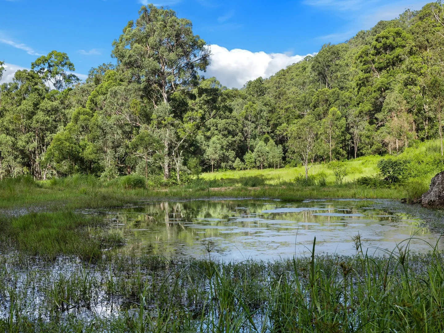 Additional image 4 of Duck Creek NSW 2469