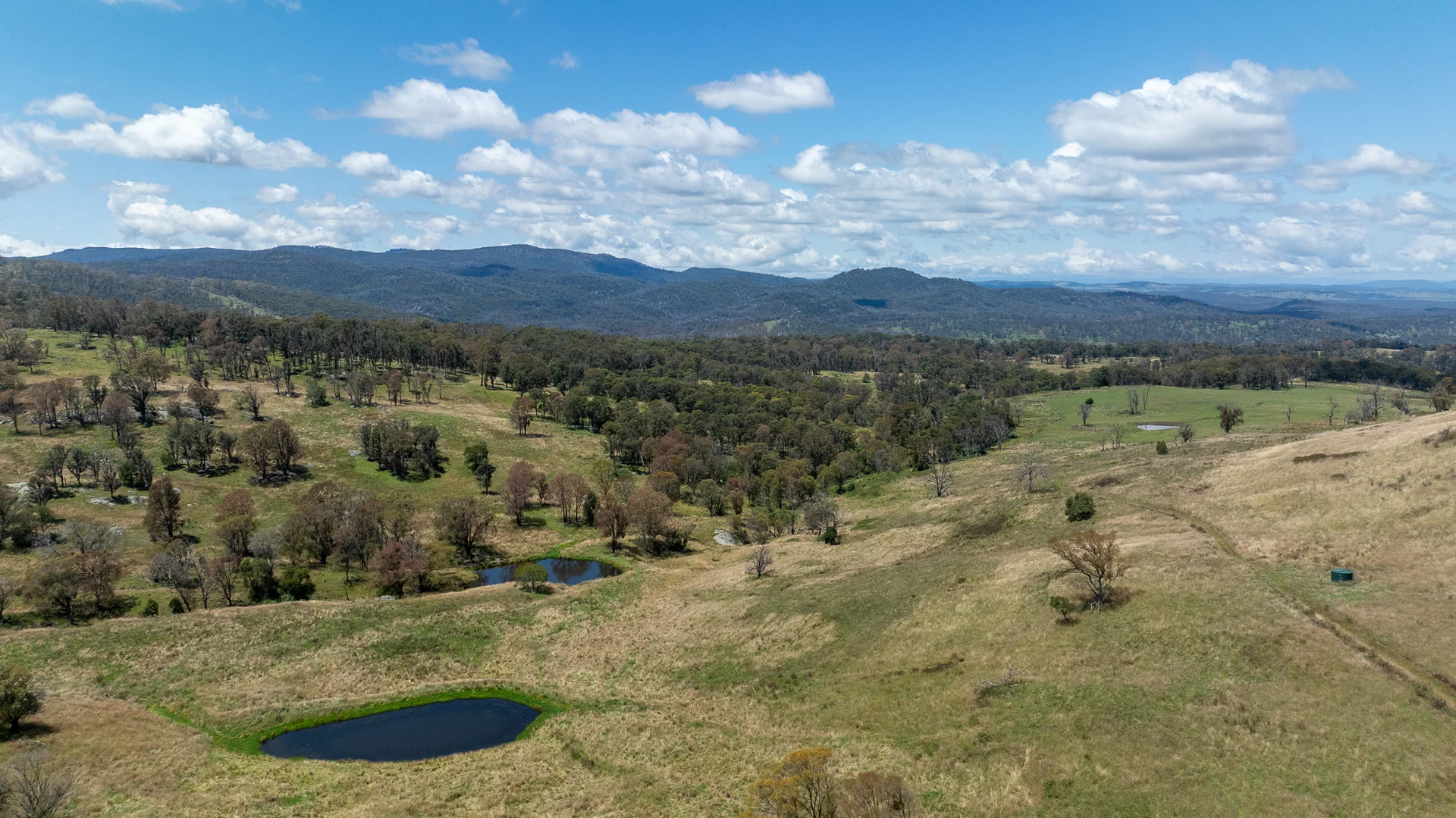 Additional image 12 of 1763 Wongwibinda Road, Armidale NSW 2350