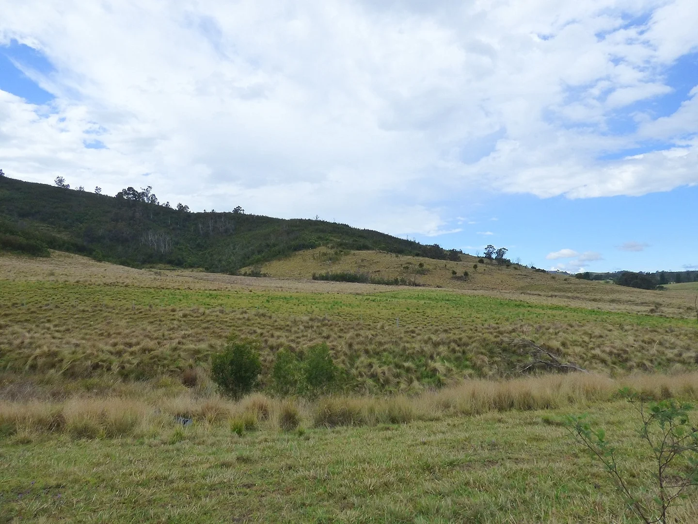 Additional image 14 of 2742 Mount Darragh Rd, Wyndham NSW 2550