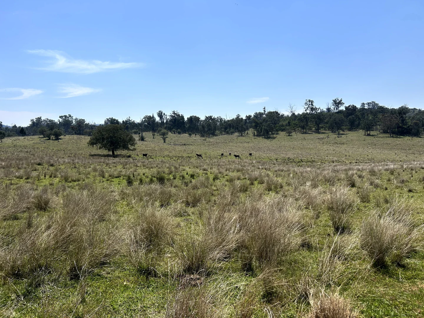 Additional image 16 of Riverview Road, Bingara NSW 2404