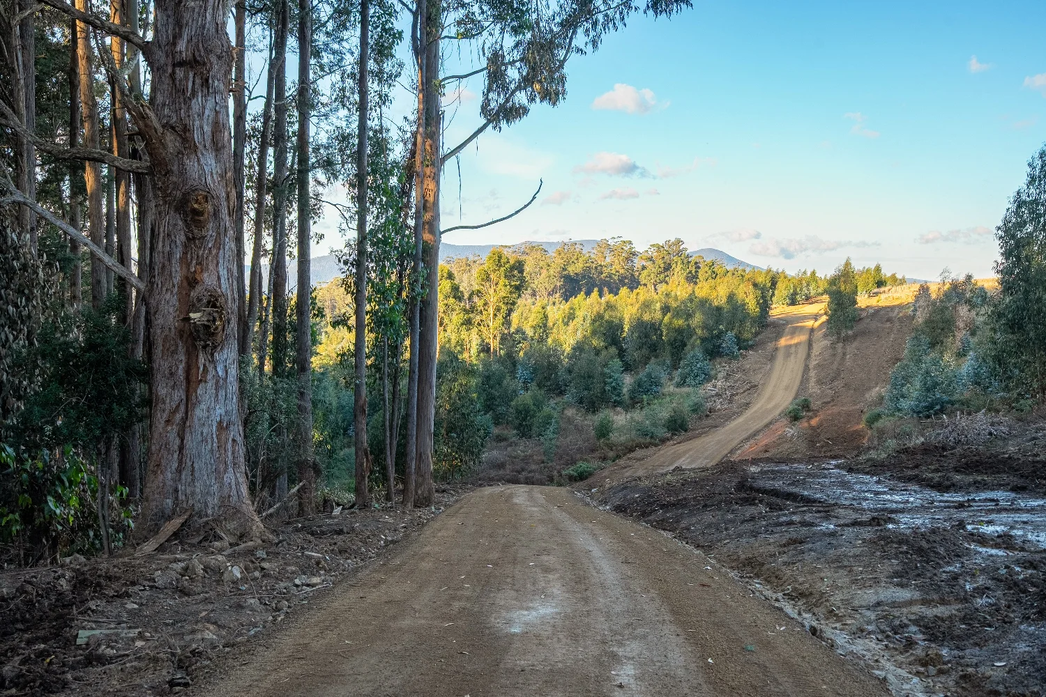 Additional image 9 of Lot 6 Paddys Lane, Franklin TAS 7113