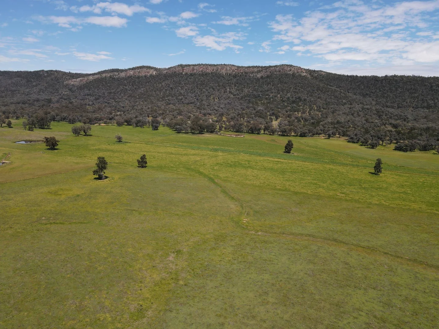 Additional image 15 of "Nangar Valley" 223 Rodwells Road, Murga NSW 2864