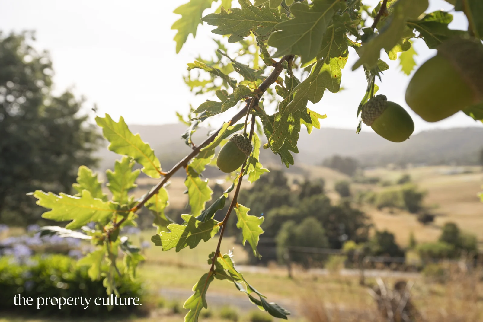 Additional image 24 of 39 Slab Road, Cygnet TAS 7112