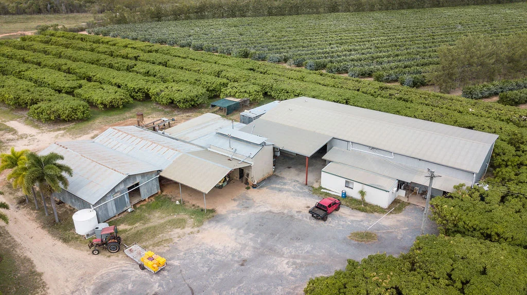 Additional image 5 of 1151 Leafgold Weir Road, Dimbulah QLD 4872