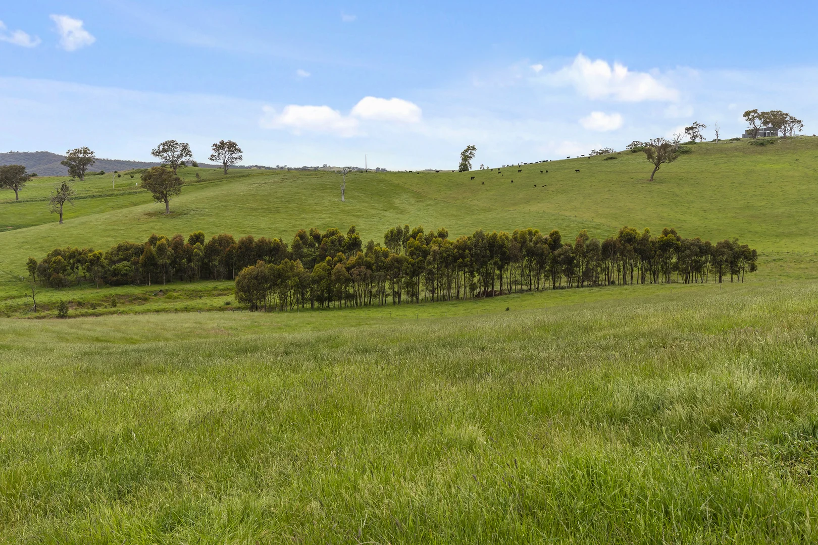 Additional image 21 of 105 Englishs Road, Broadford VIC 3658