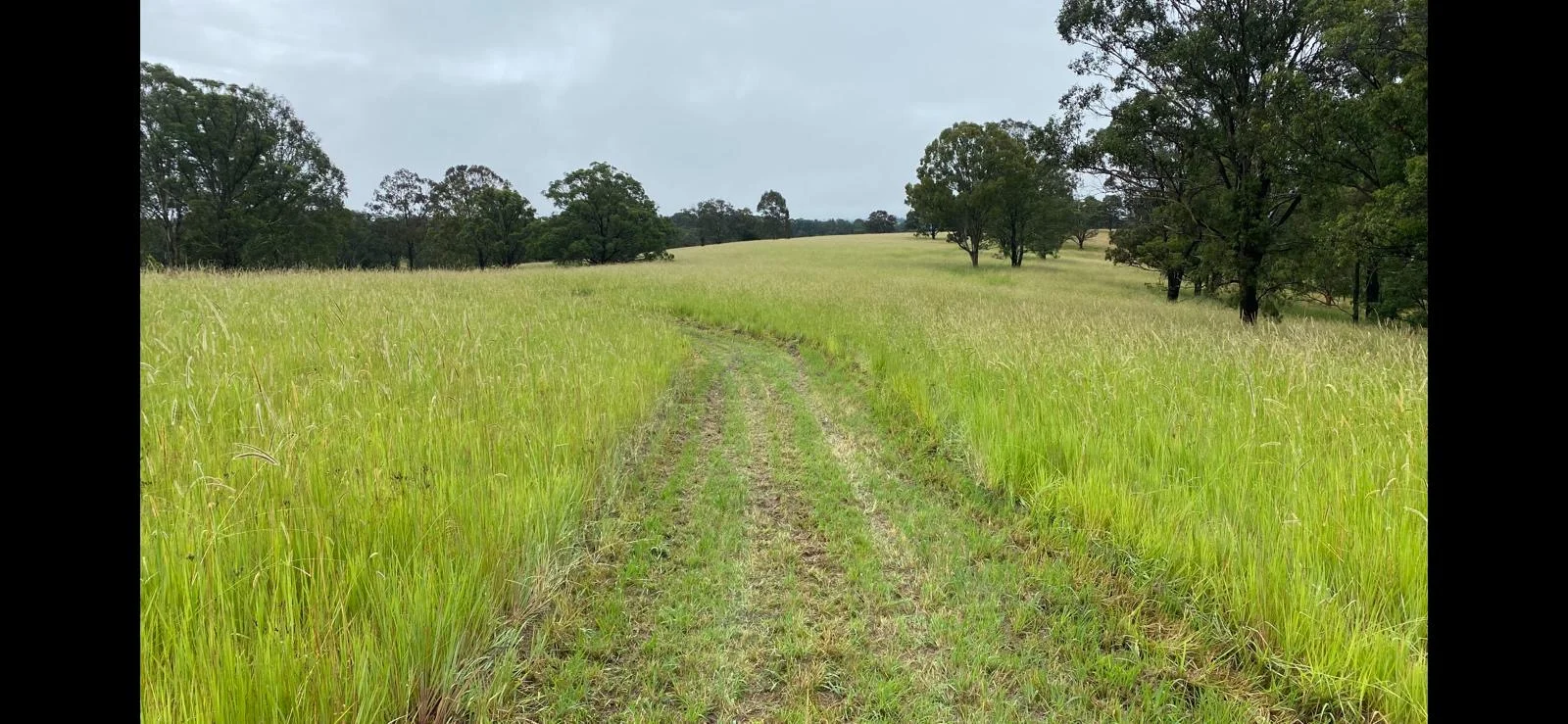 Additional image 26 of 455 Woods Road, Gloucester NSW 2422