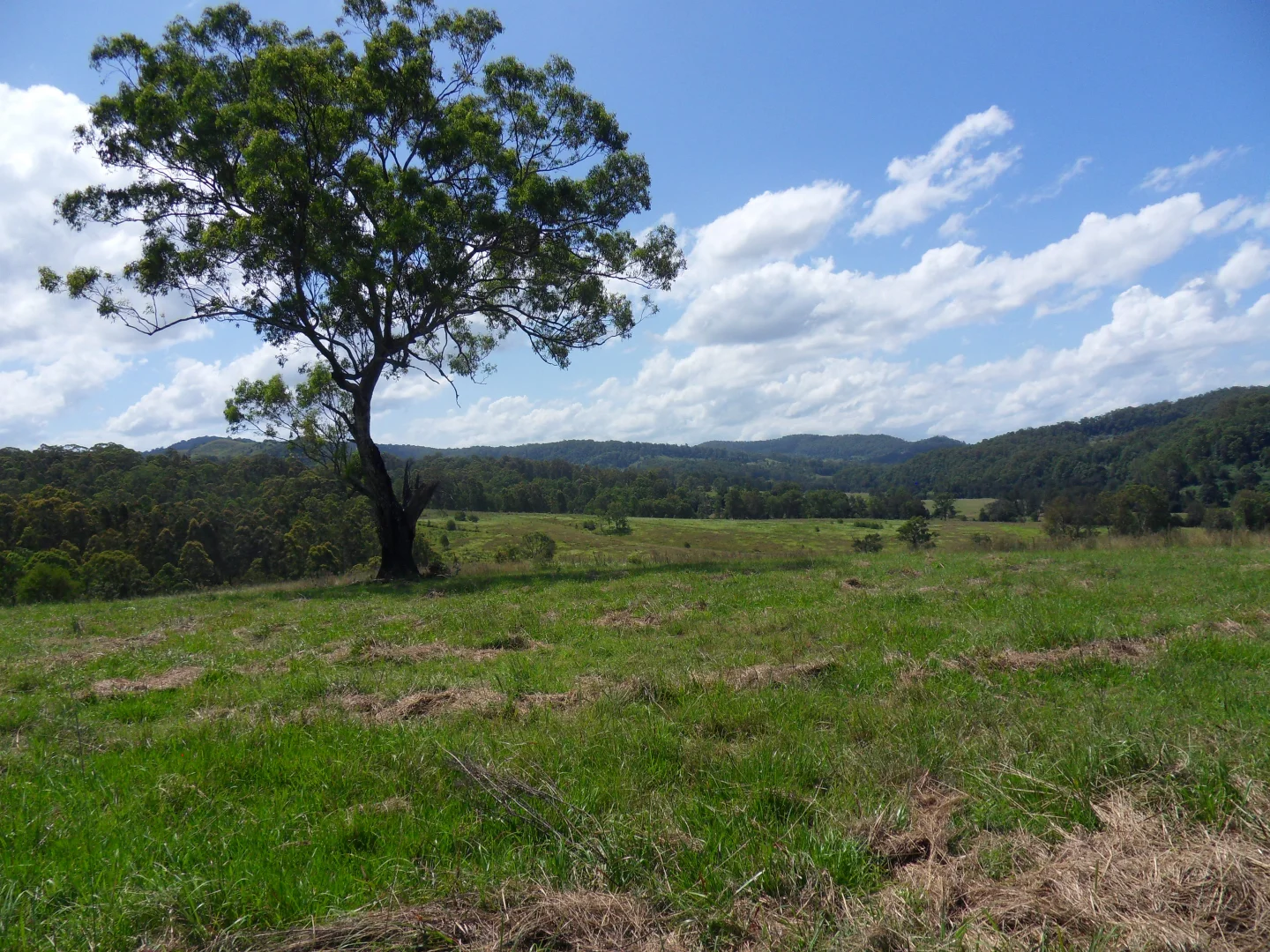 Additional image 19 of 665 Theresa Creek Road, Theresa Creek NSW 2469