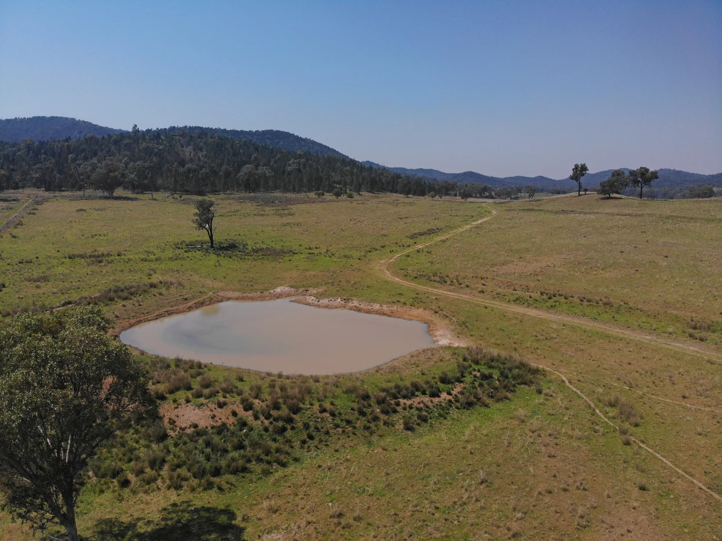 Additional image 5 of Riverview Road, Bingara NSW 2404