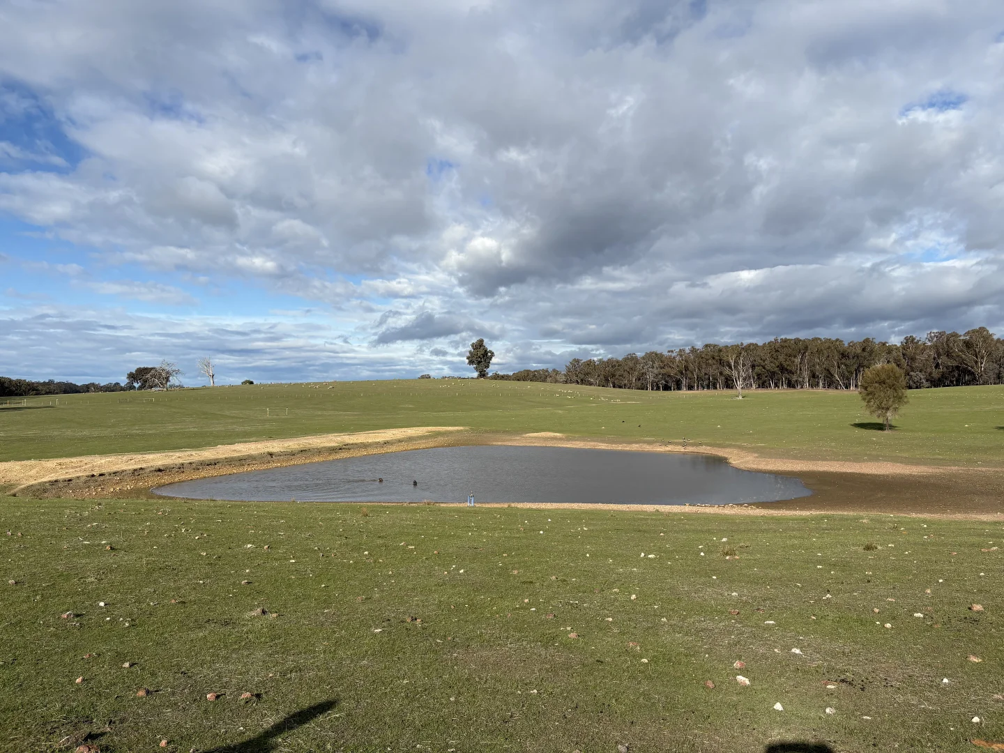 Additional image 4 of Lot 1 Sloan Rd, Baddaginnie VIC 3670