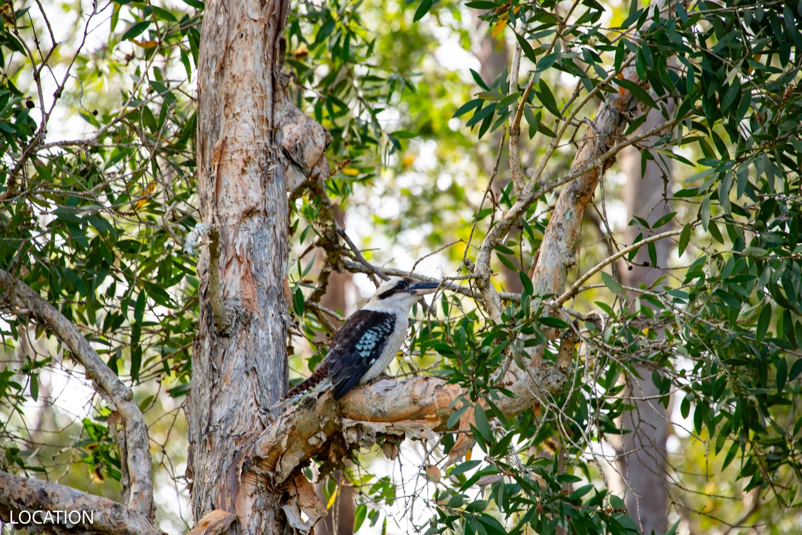 Additional image 25 of 54/132 Findlay Avenue, Chain Valley Bay NSW 2259