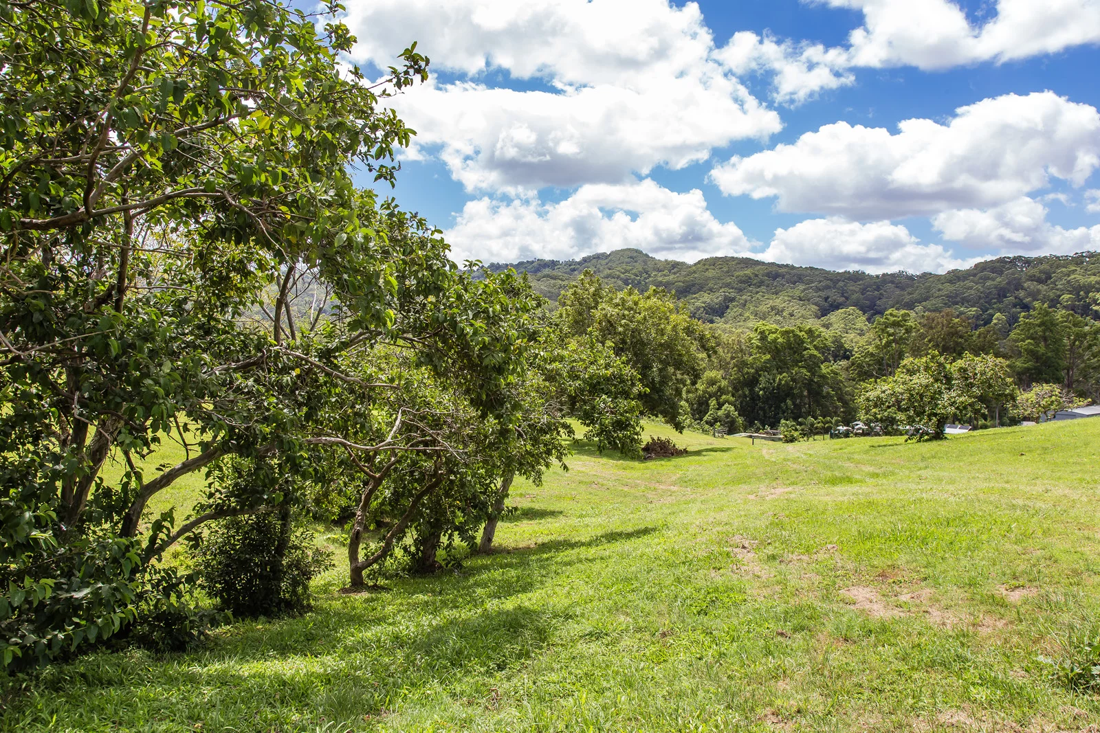 Additional image 20 of 435-451 Blackall Range Road, West Woombye QLD 4559