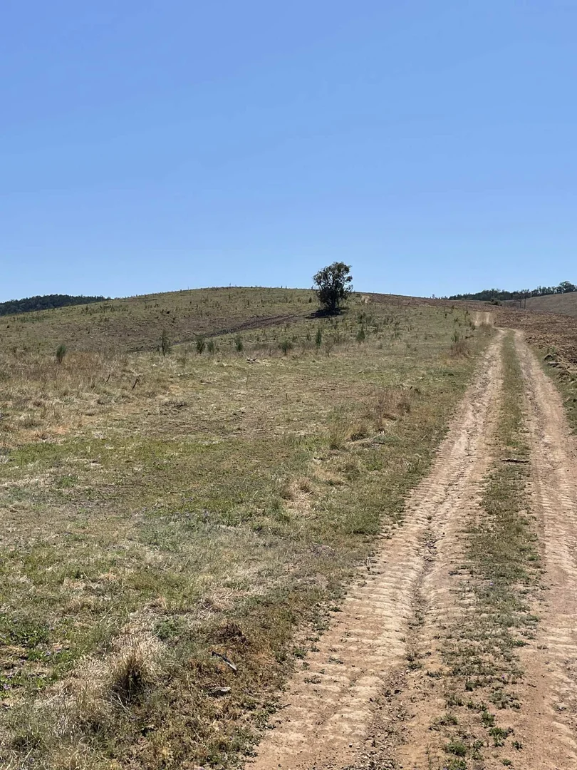 Additional image 14 of Lot 9 Silver Spur Redgate Road, Silver Spur QLD 4385