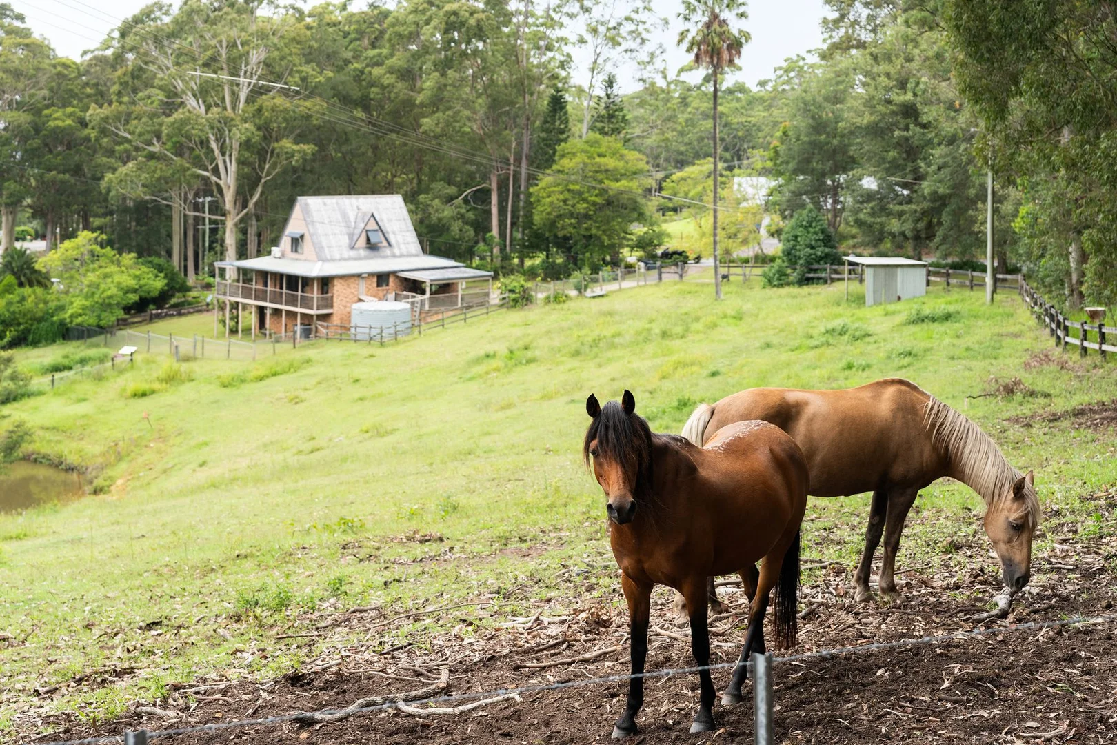 Additional image 7 of 675 The Ridgeway, Tumbi Umbi NSW 2261