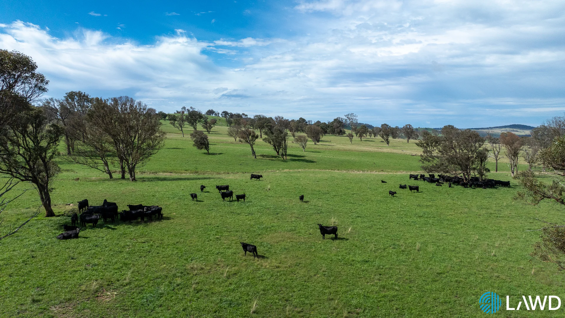 Additional image 21 of Alora-Mia Kellys Road, Armidale NSW 2350