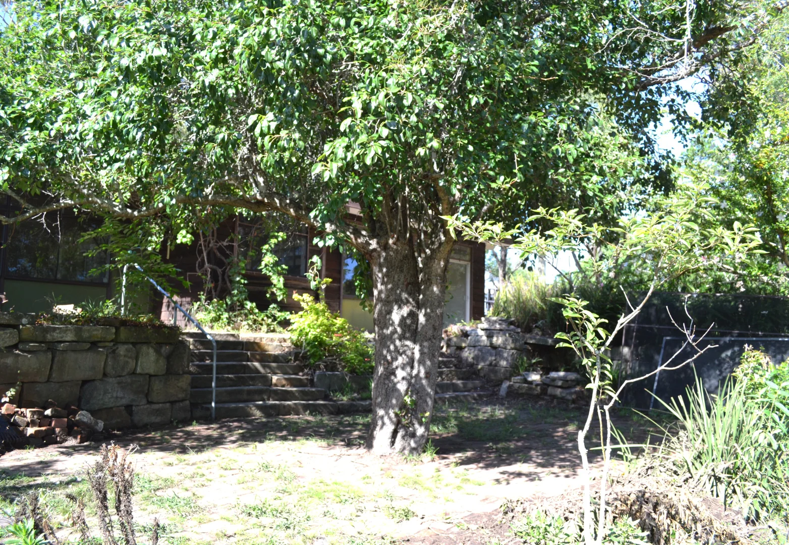 Additional image 7 of 22 Wesley Street, Bolwarra Heights NSW 2320