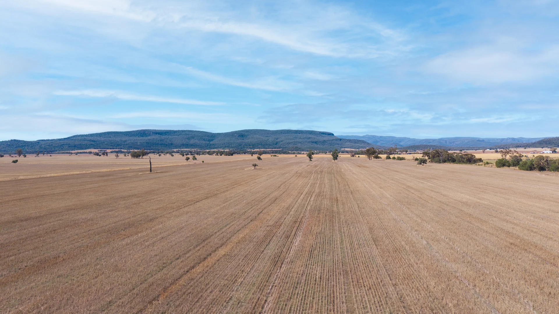 Additional image 12 of "Avoca East" 2293 Maules Creek Road, Narrabri NSW 2390