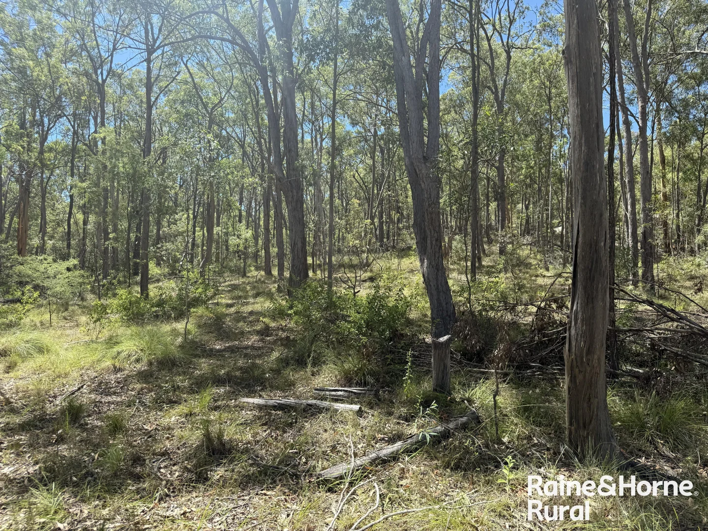 Additional image 2 of Lot 158 Brocklehurst road, Wattle Camp QLD 4615