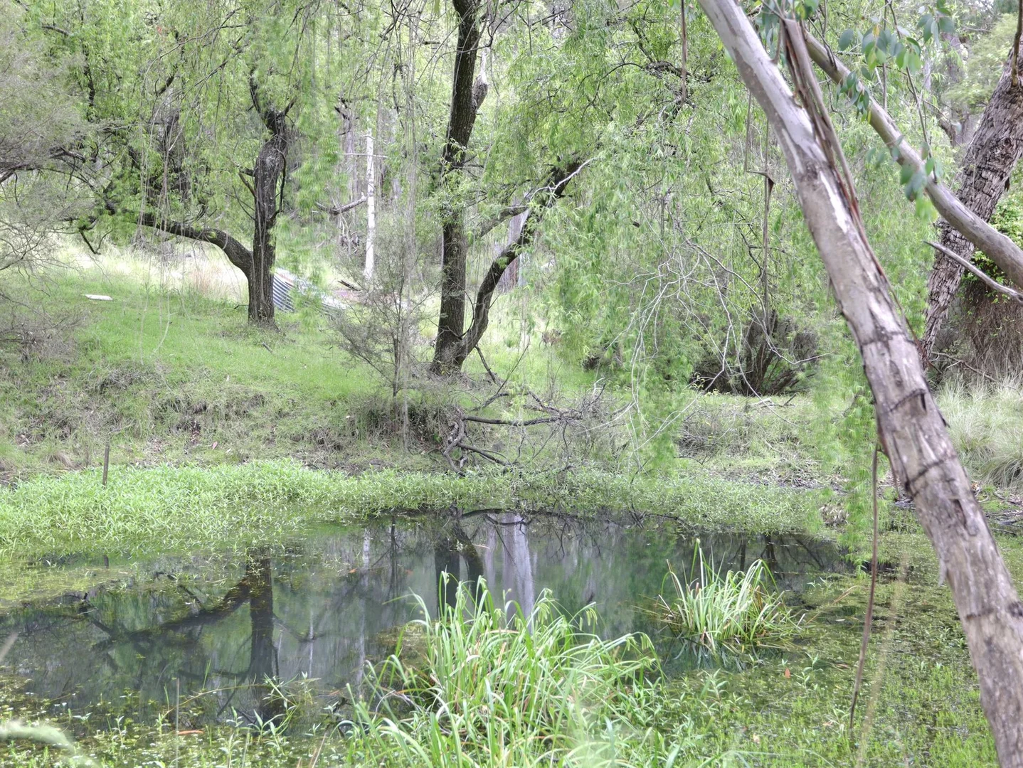 Additional image 14 of 940 Barry Road, Hanging Rock NSW 2340