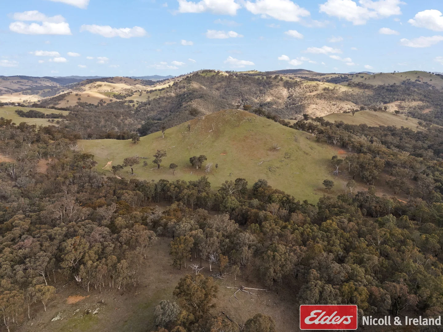 Additional image 14 of 6843 Goulburn Road, Abercrombie River NSW 2795
