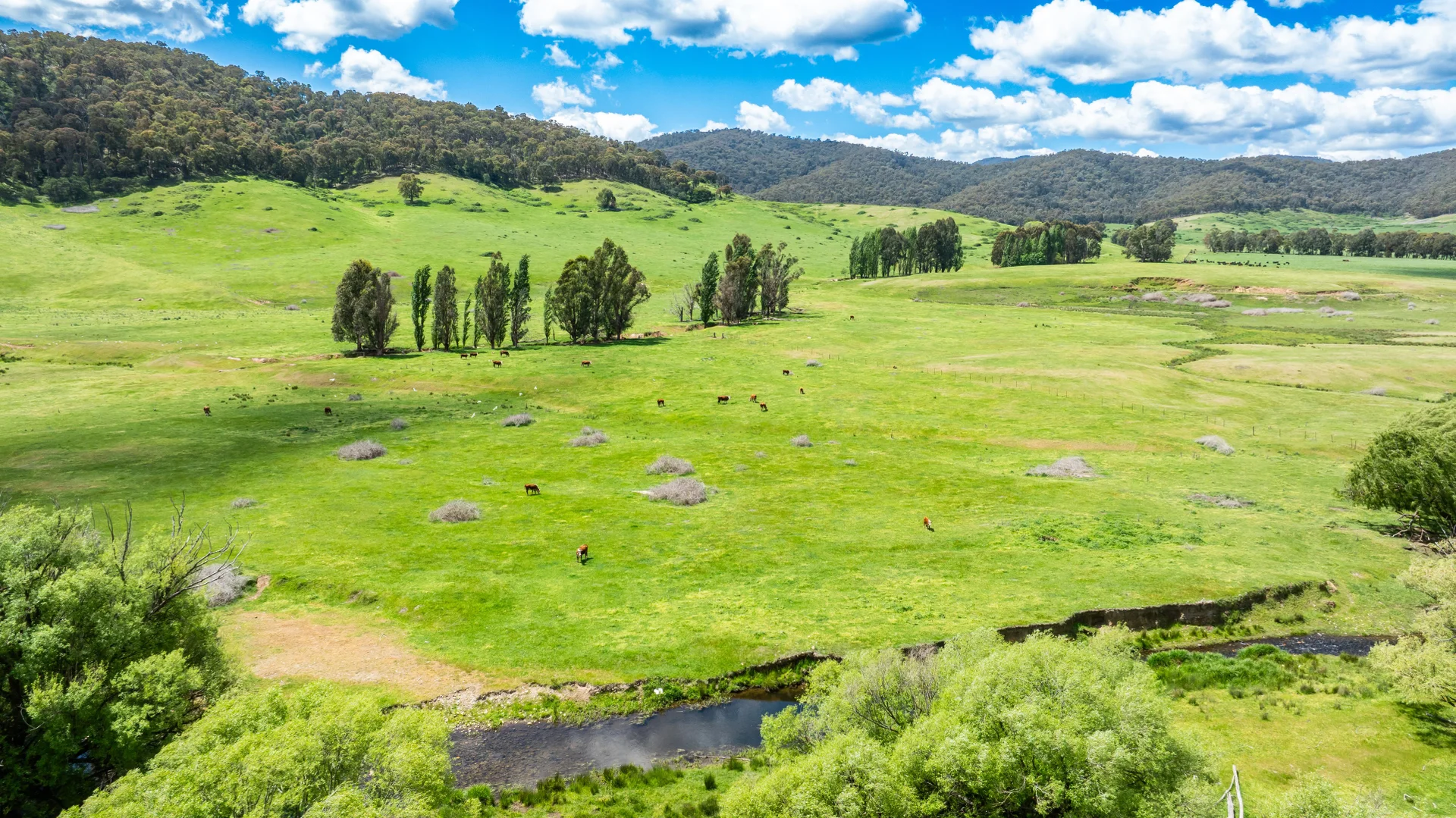 Additional image 3 of 'Grassmere'/2485 Tallangatta Creek Rd, Tallangatta Valley VIC 3701
