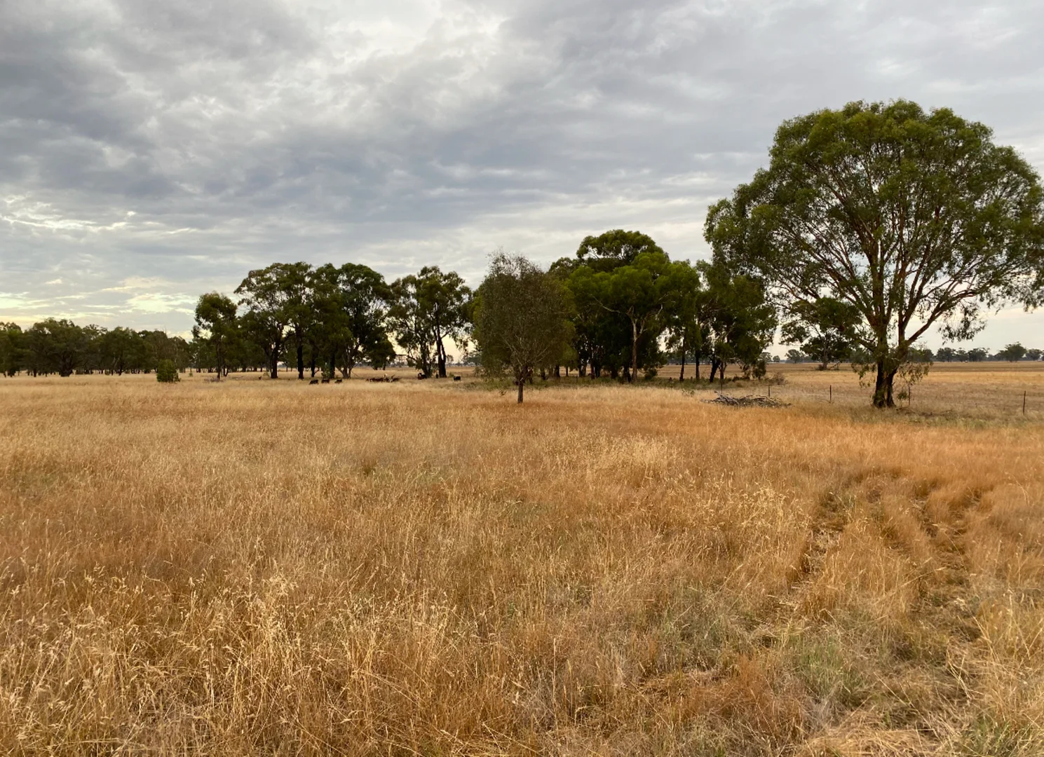 Additional image 9 of 1943 Invergordon Road, Youanmite VIC 3646
