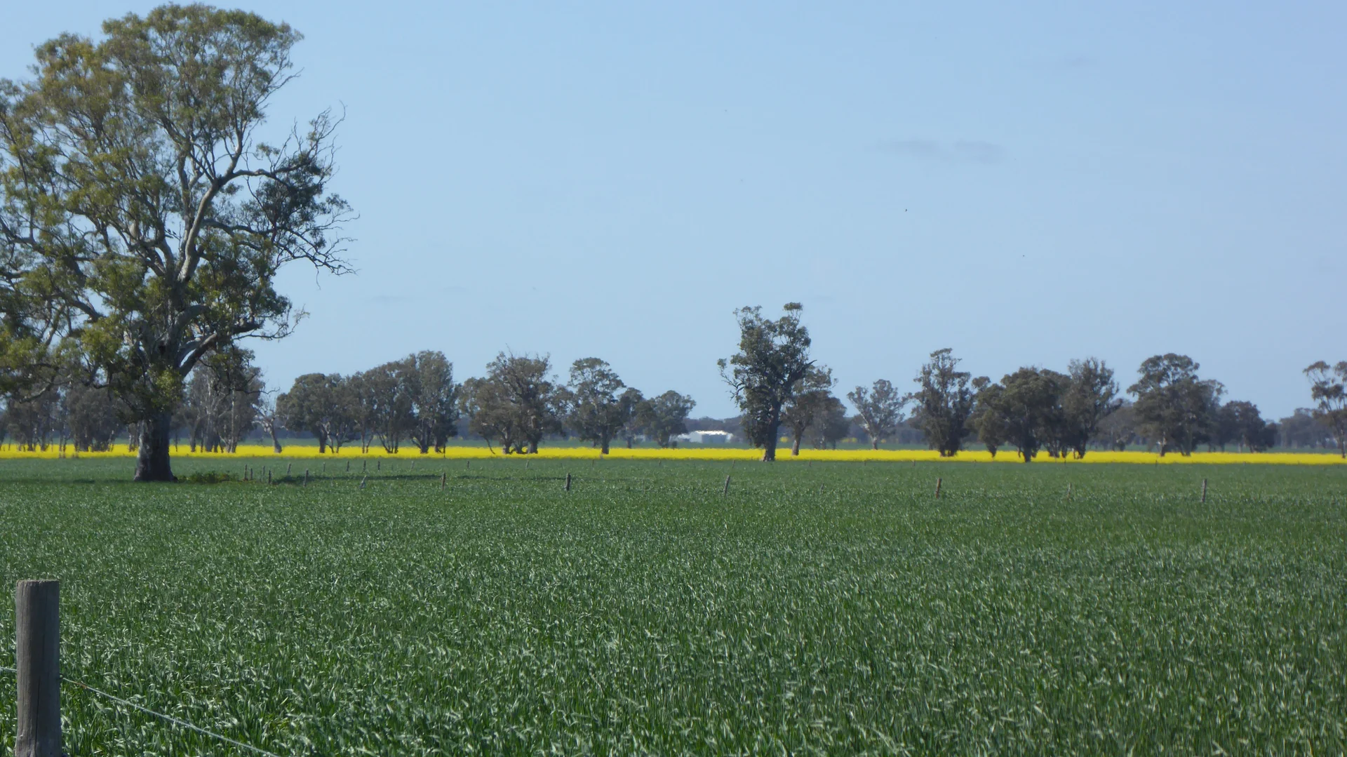 Additional image 5 of 139 Packer Road, Bordertown South SA 5268