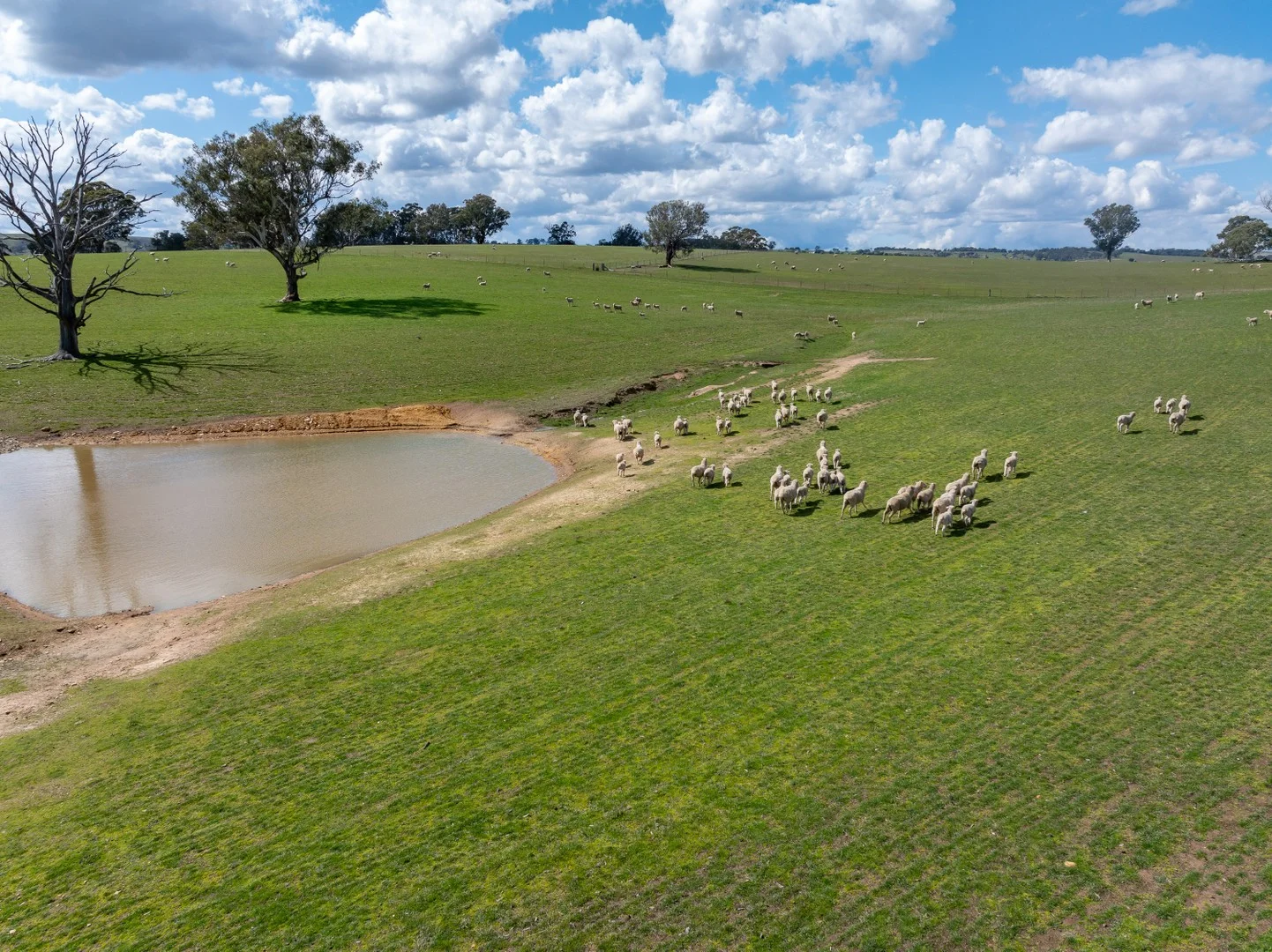 Additional image 3 of 1185 Golspie Road, Golspie NSW 2580