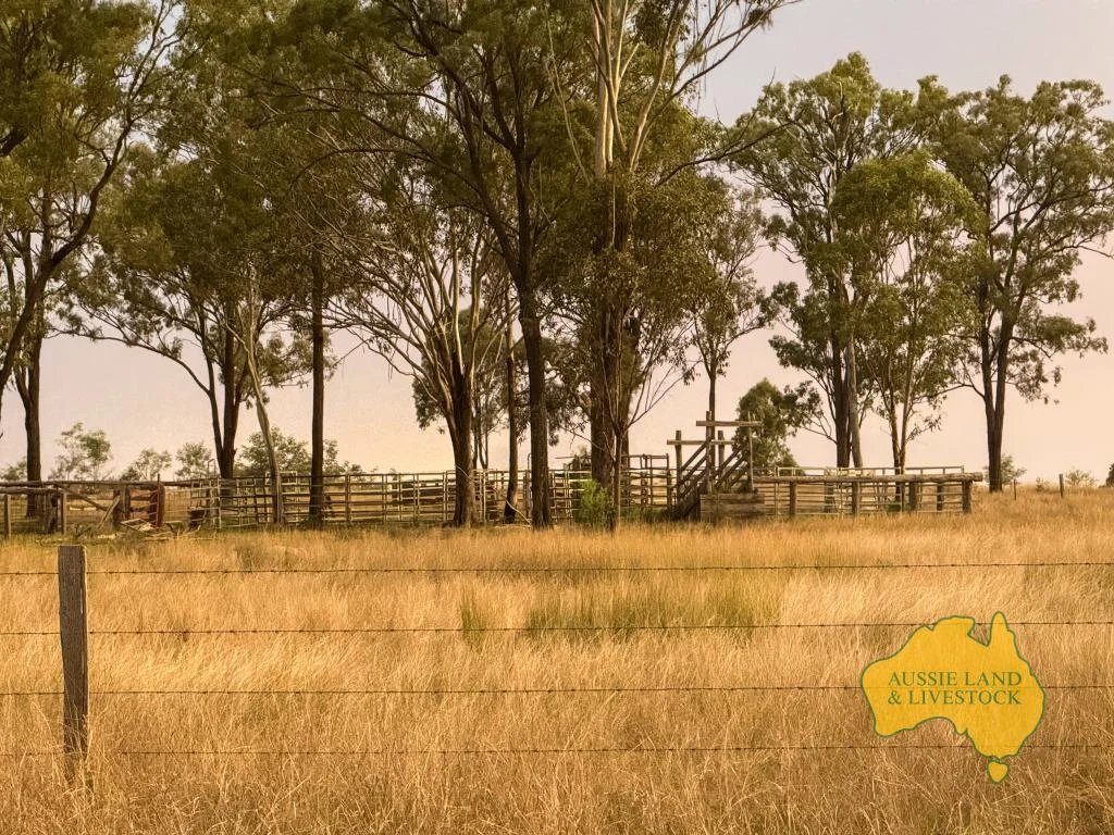 Additional image 11 of 373 Ormonde Road, Monogorilby QLD 4626