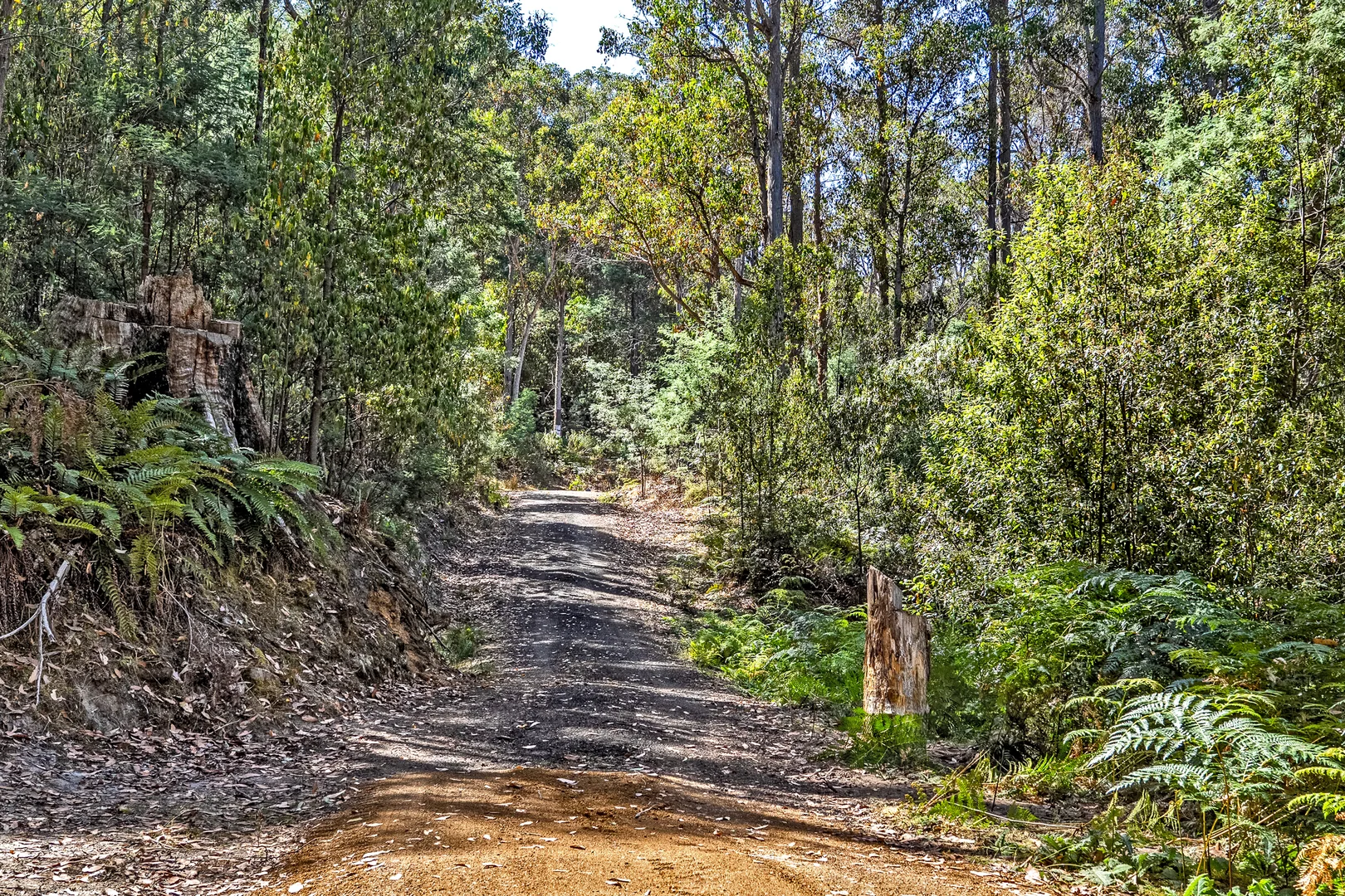 Additional image 25 of 1 Douglas Road, Molesworth TAS 7140