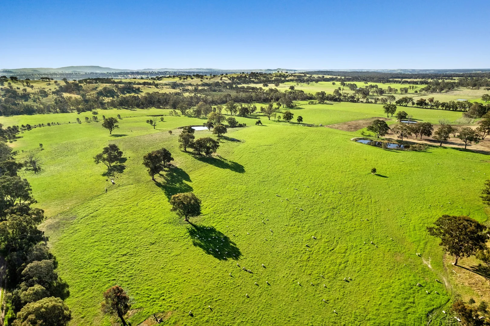 Additional image 2 of 189 Siddles Road, Redesdale VIC 3444