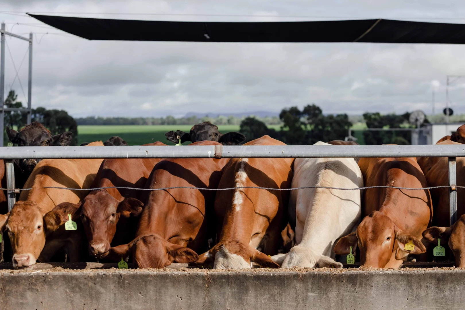 Additional image 6 of Springsure QLD 4722