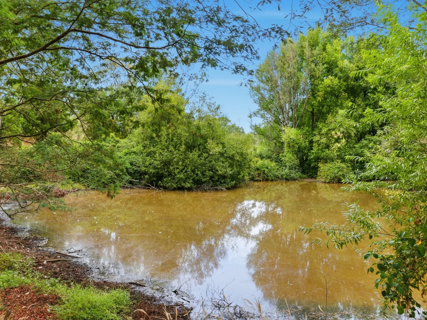 Additional image 3 of 450 Woomera Creek Rd, Toora North VIC 3962