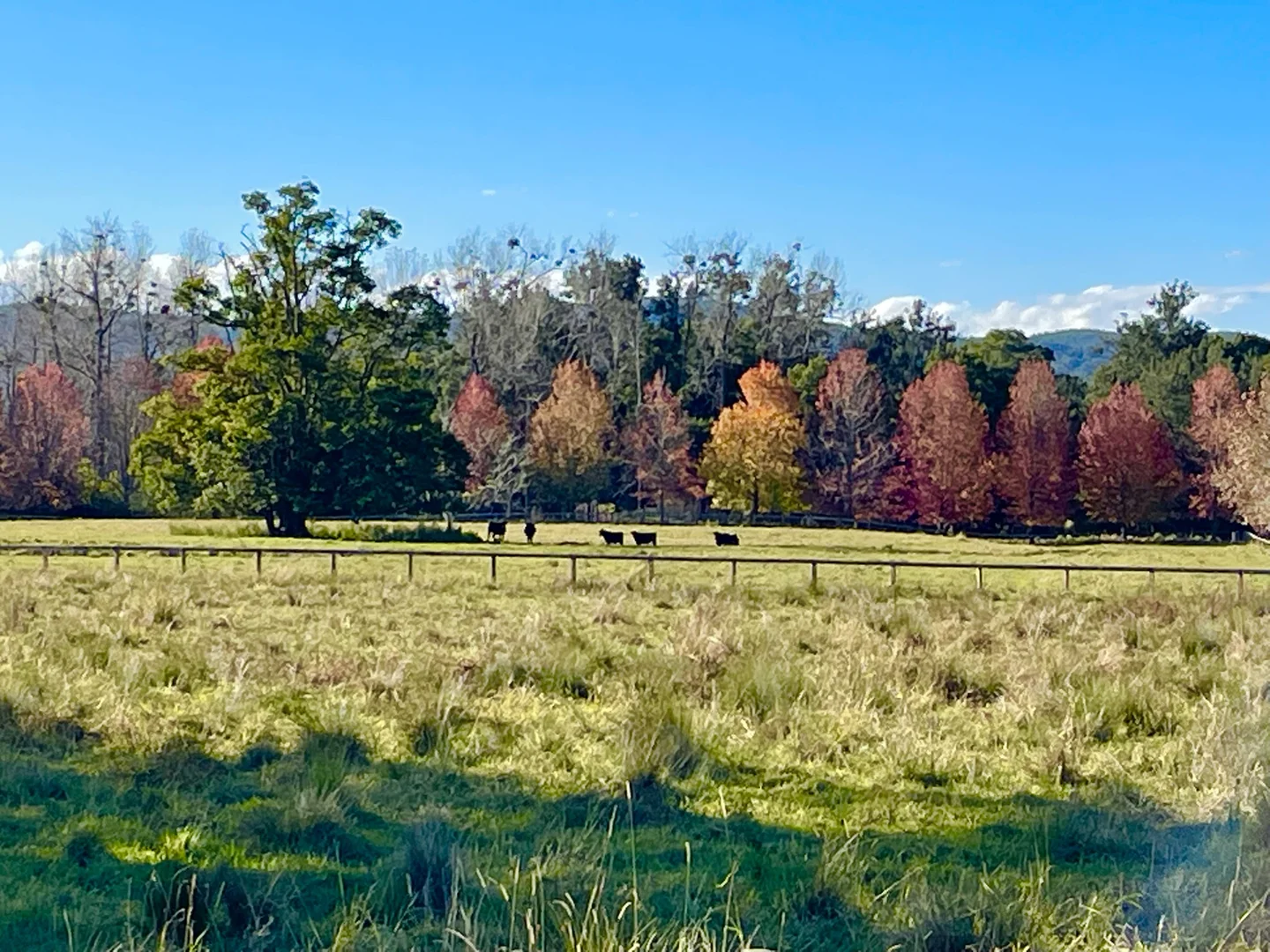 Additional image 11 of 1554 & 1598 Rollands Plains Road, Rollands Plains NSW 2441