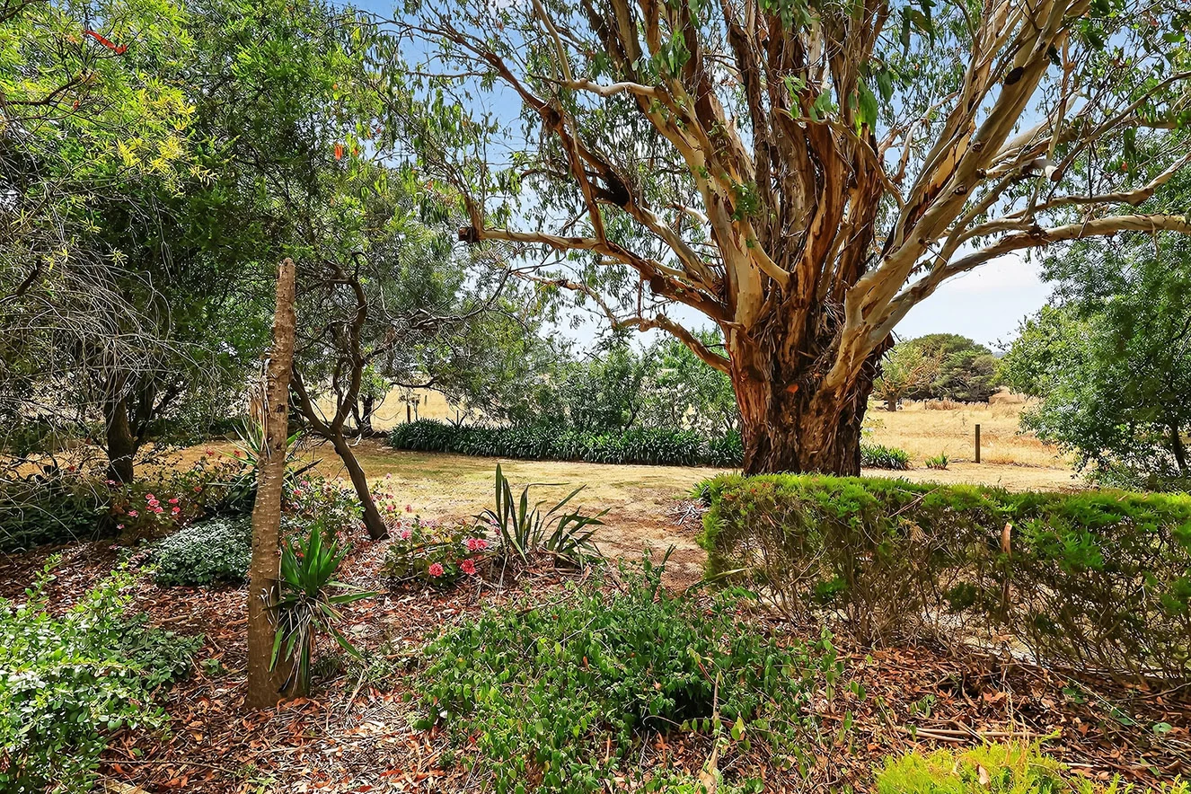 Additional image 19 of 320 Bridge Road, Woodford VIC 3281