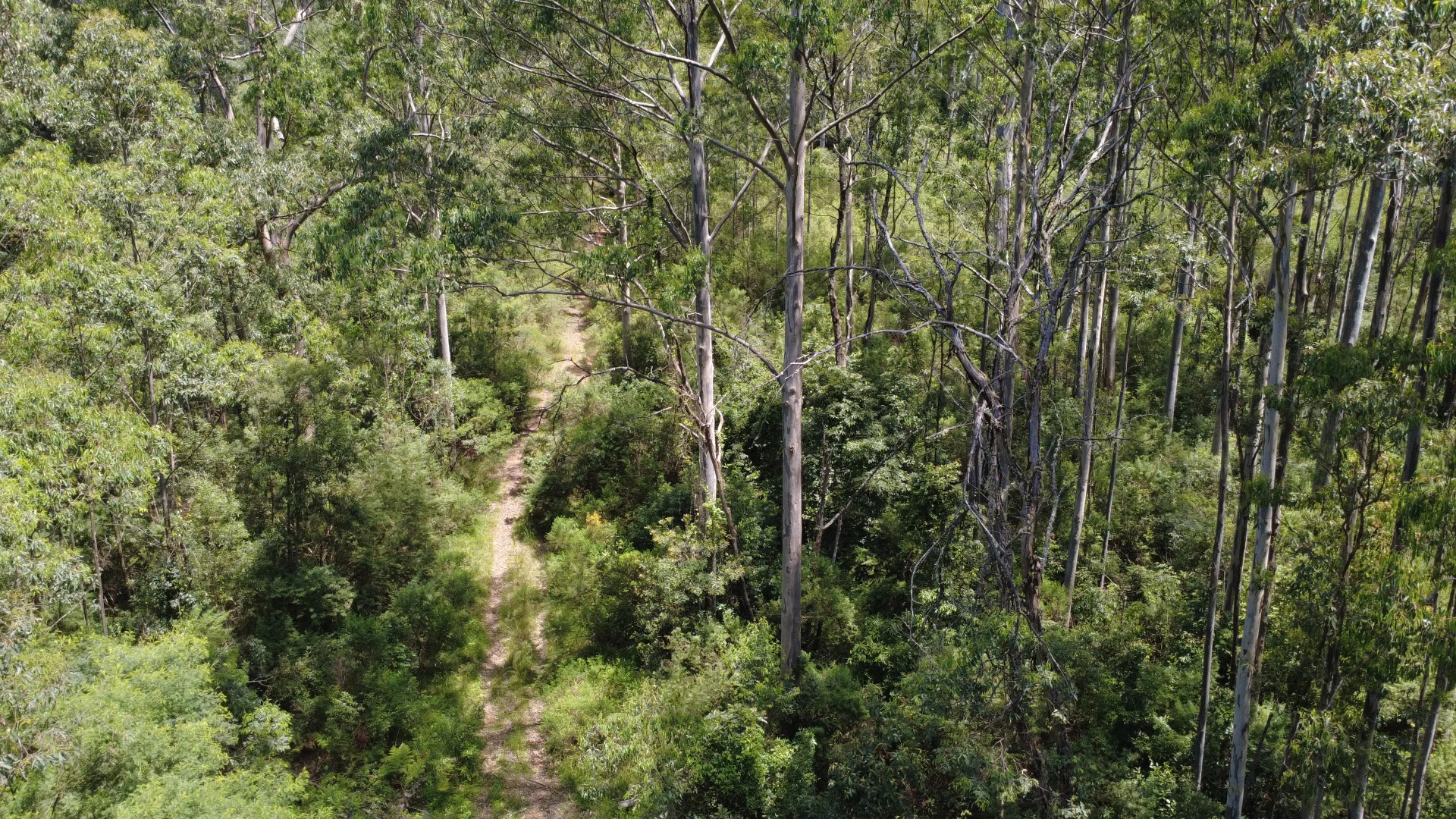 Additional image 8 of Baxters Ridge Road, Gloucester NSW 2422