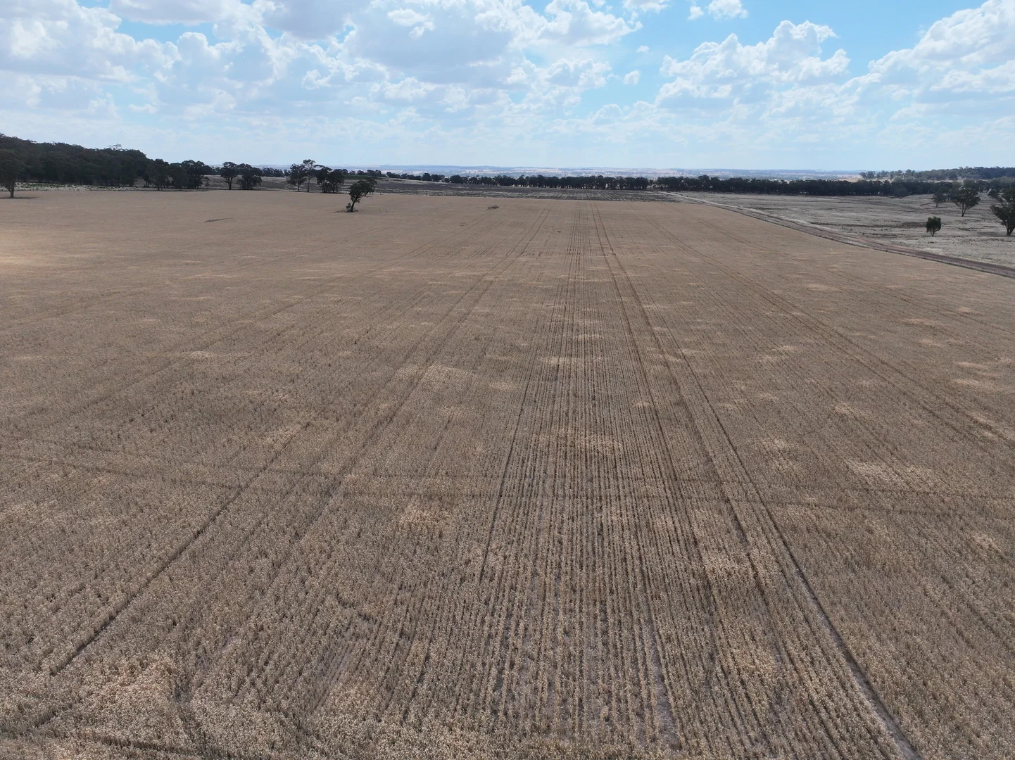 Additional image 6 of 'Quondi', Dirnaseer Road, Combaning NSW 2666