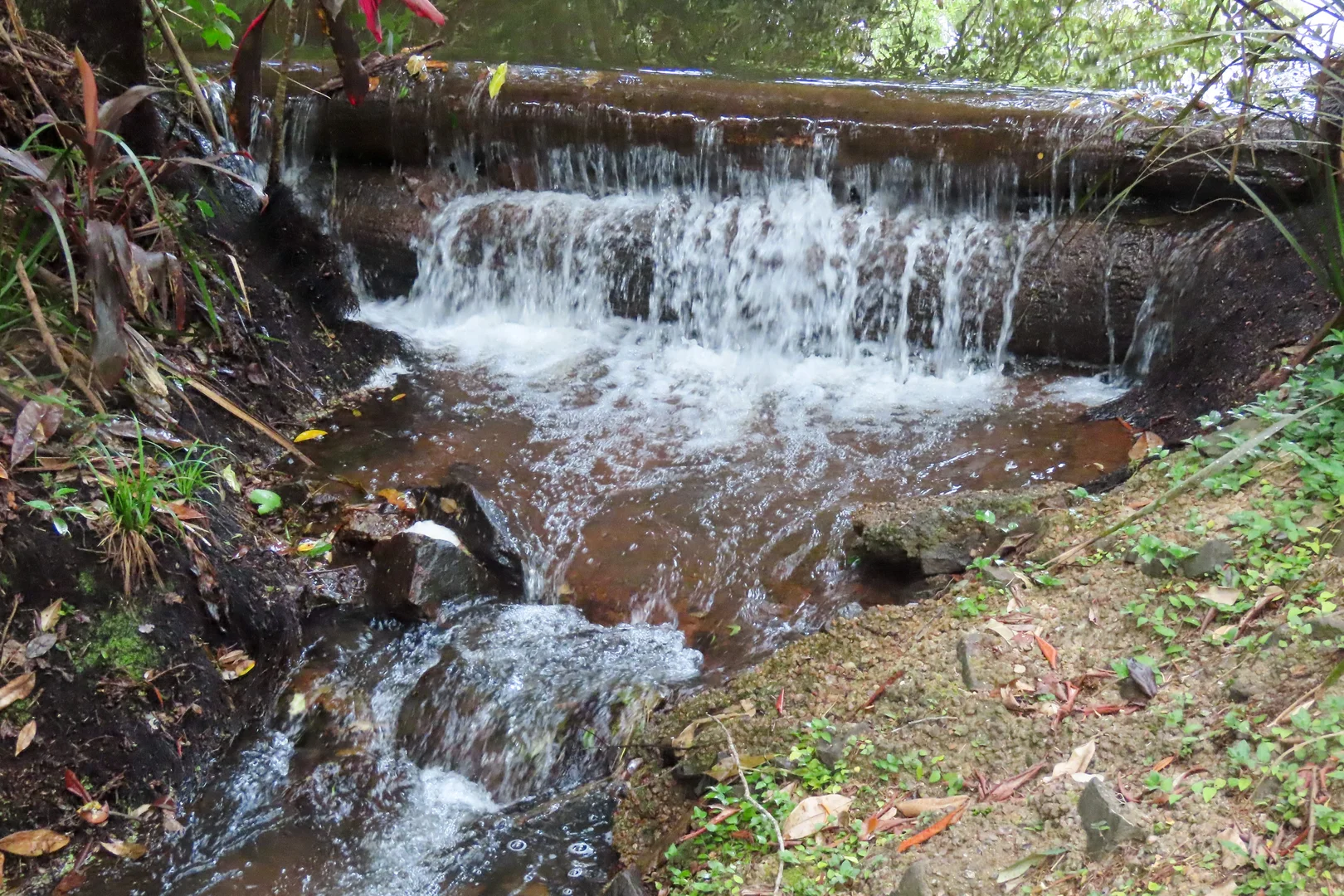 Additional image 3 of 10524 Kennedy Highway, Upper Barron QLD 4883