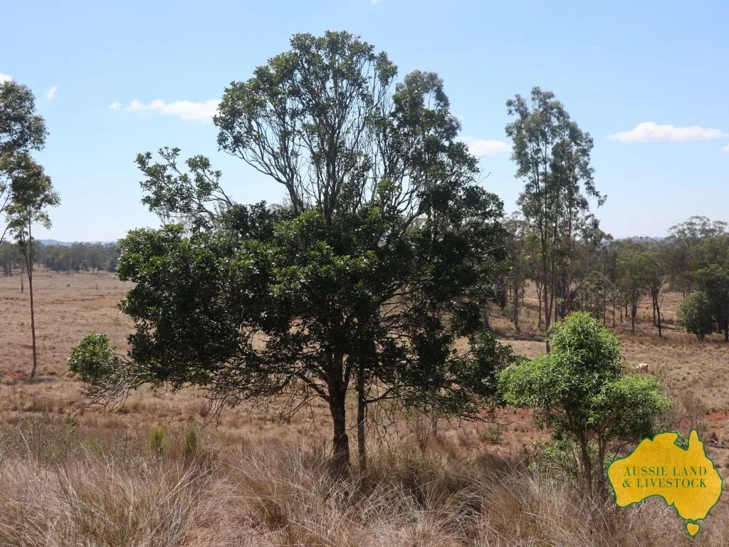 Additional image 7 of 225 BEILS ROAD, Kingaroy QLD 4610