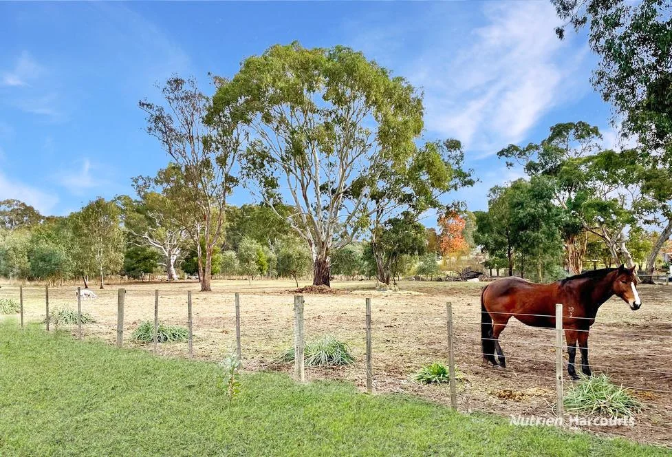 Additional image 14 of 7 Tuckett Street, Casterton VIC 3311