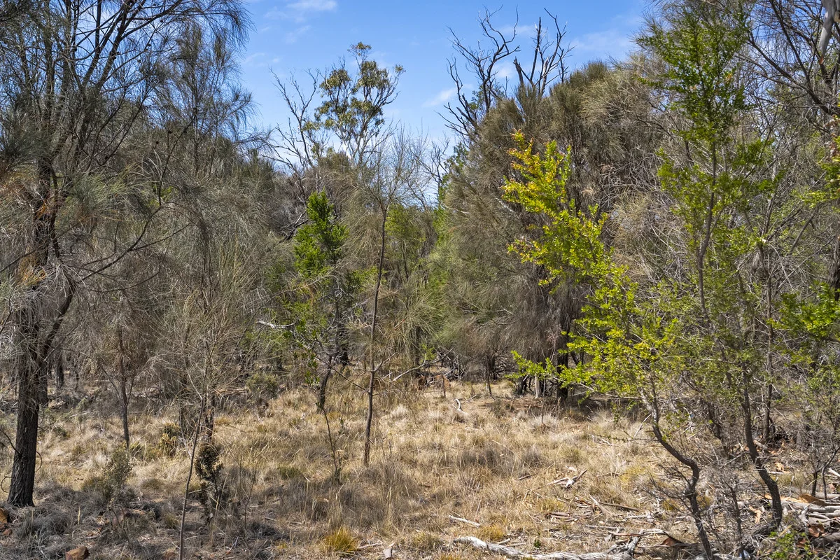 Additional image 7 of 3 Addison Street, Swansea TAS 7190