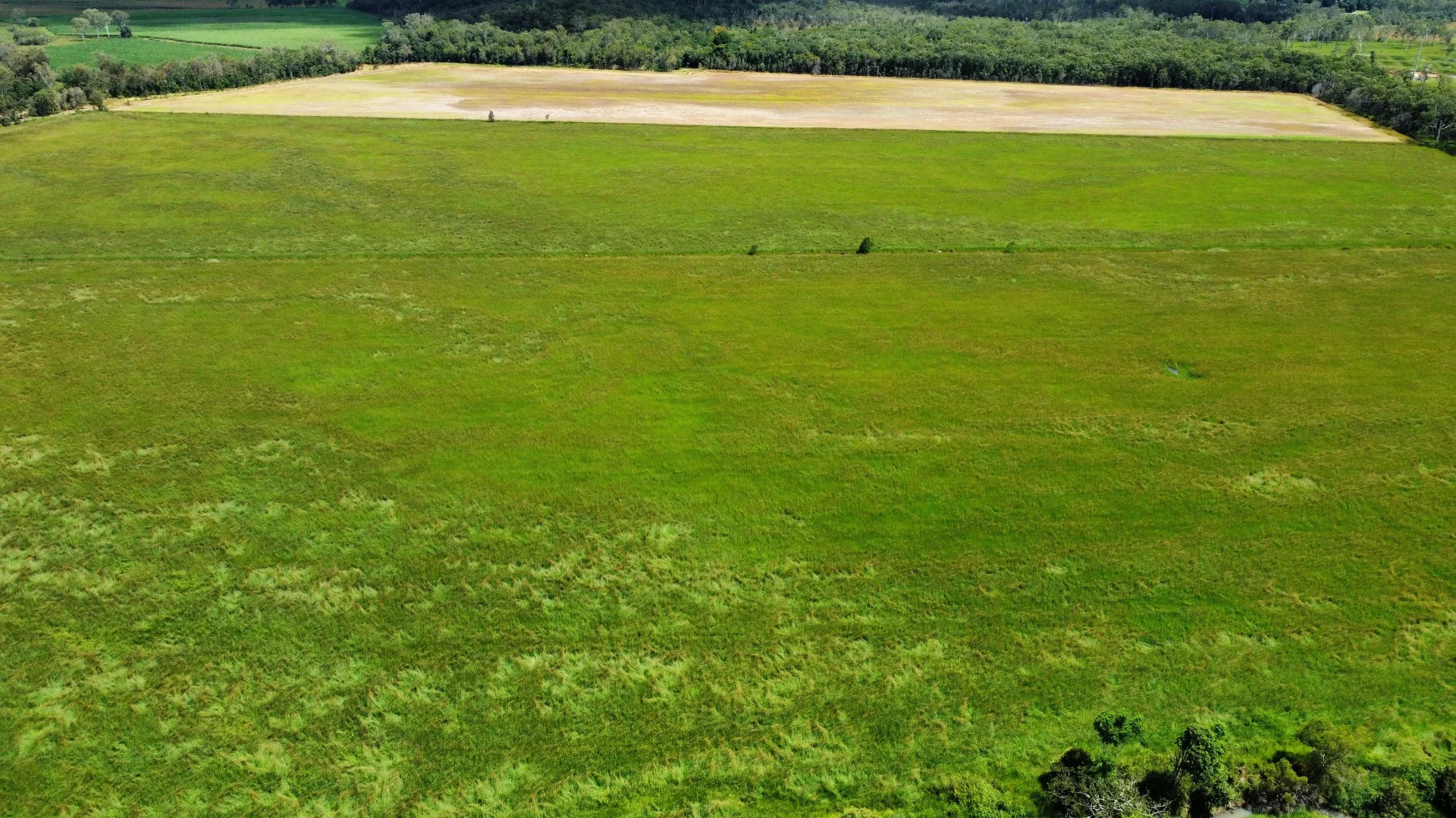 Additional image 7 of Carrington QLD 4883