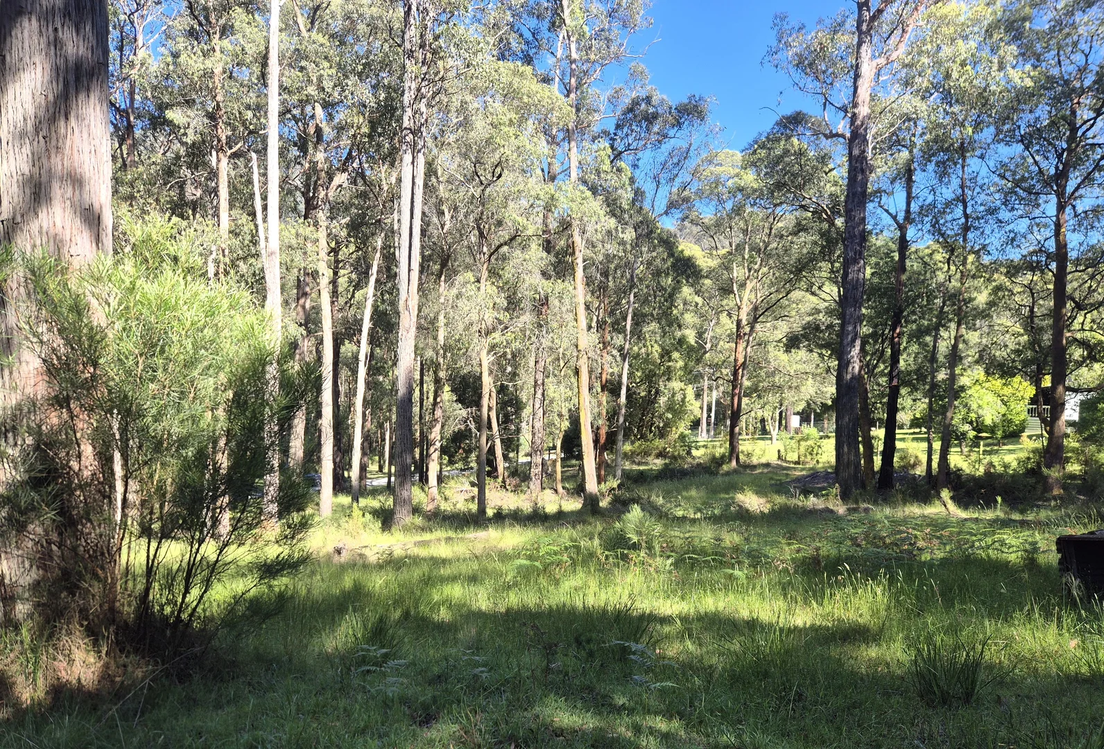 Additional image 5 of 22 Fisherman Drive, Reefton VIC 3799