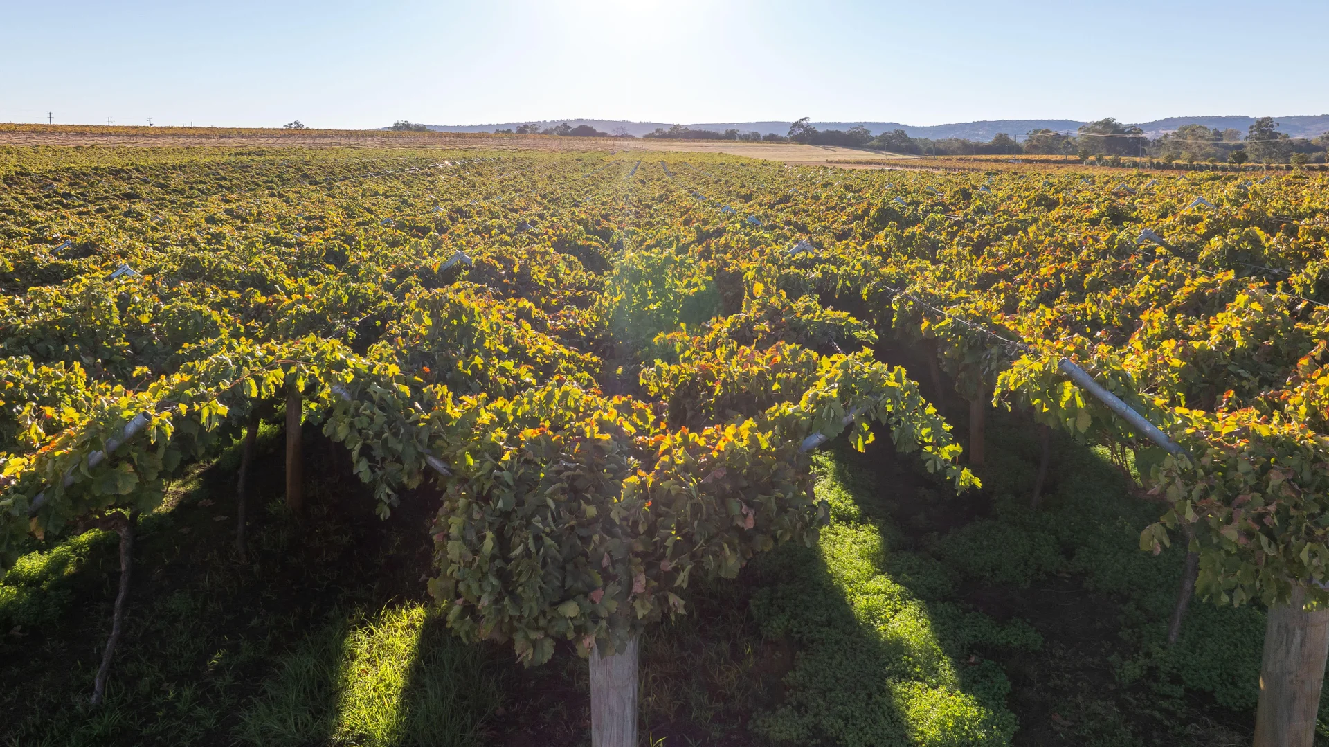 Additional image 7 of 12930 West Swan Road, Belhus WA 6069