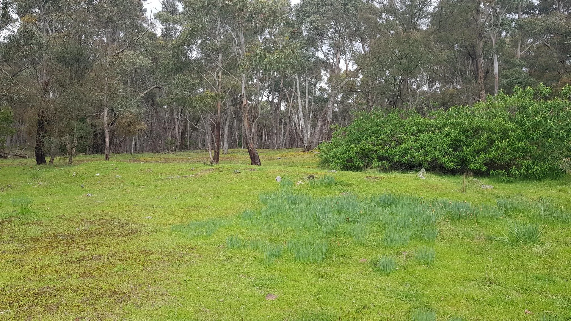 Additional image 4 of 2 Jubilee Road, Staffordshire Reef VIC 3351