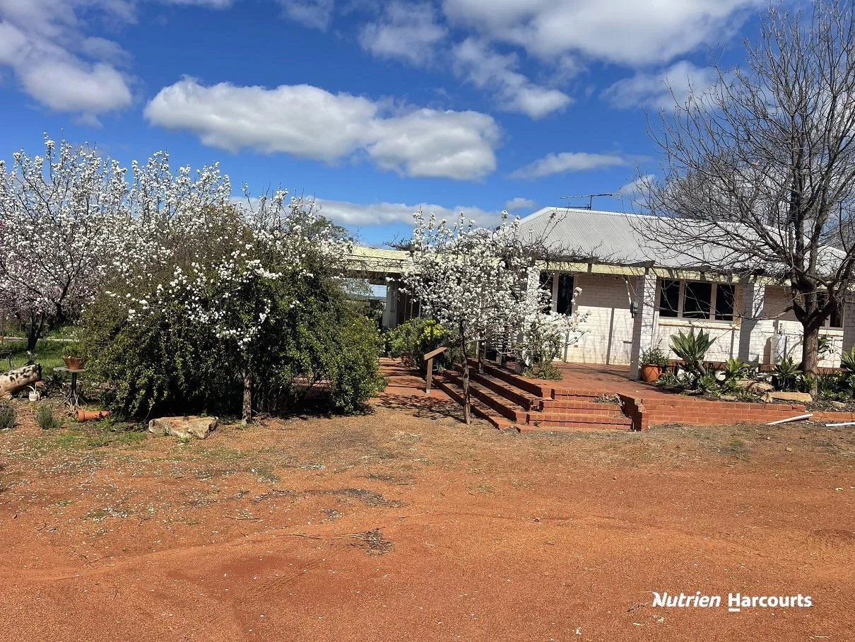 Additional image 37 of 967 Northam-Toodyay Road, Katrine WA 6401