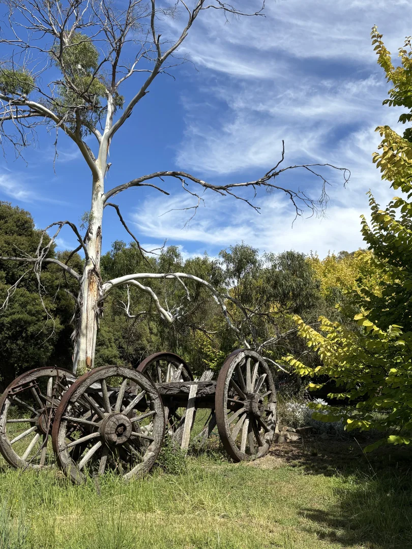 Additional image 15 of 64 Arcadia Downs Drive, Kialla VIC 3631