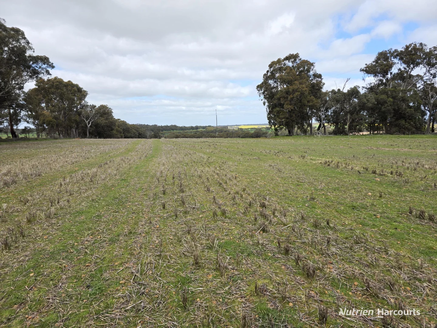 Additional image 20 of Lot 347 Yarralena Road, Cranbrook WA 6321
